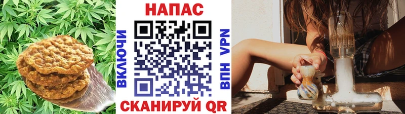даркнет сайт Мегион маркетплейс телеграм Еда ТГК марихуана