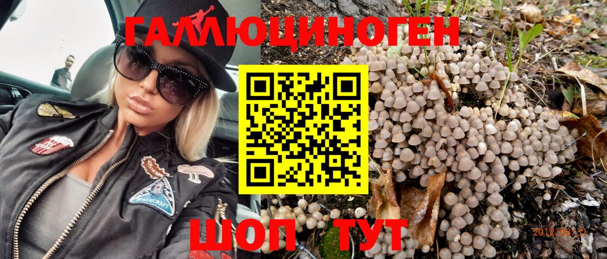 Галлюциногенные грибы Psilocybe  Мегион  Псилоцибиновые грибы Magic Shrooms 