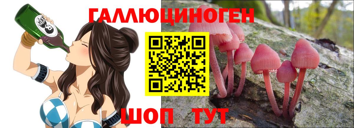 Галлюциногенные грибы Psilocybine cubensis Мегион