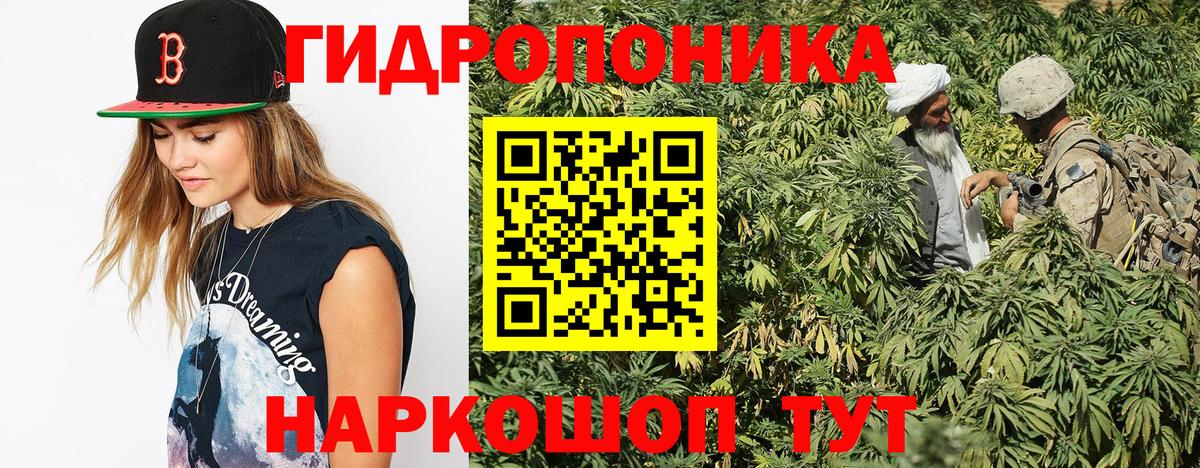 Каннабис ГИДРОПОН Мегион